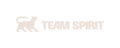 Team Spirit
